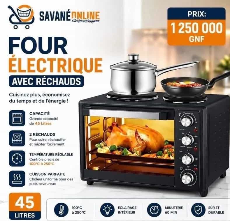 Electric oven