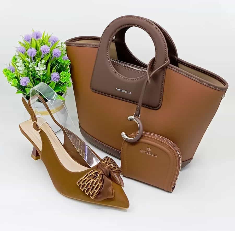 Sac à main et chaussures doré prestigieux