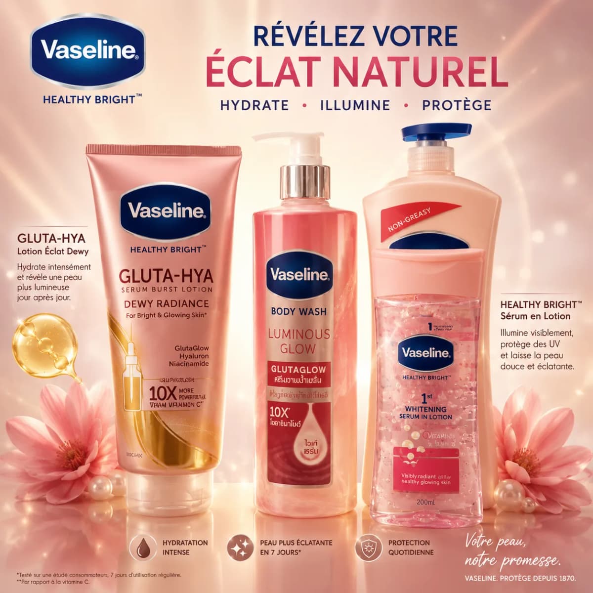 VASELINE GAMME