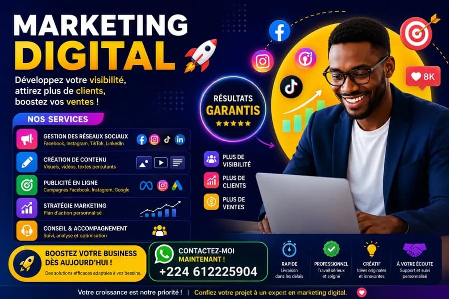 Gestion des réseaux sociaux et publicité en ligne