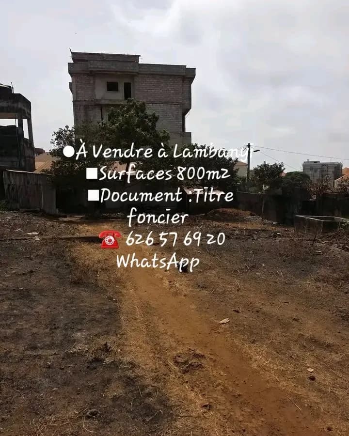 Vente des Terrains à Lambanyi 