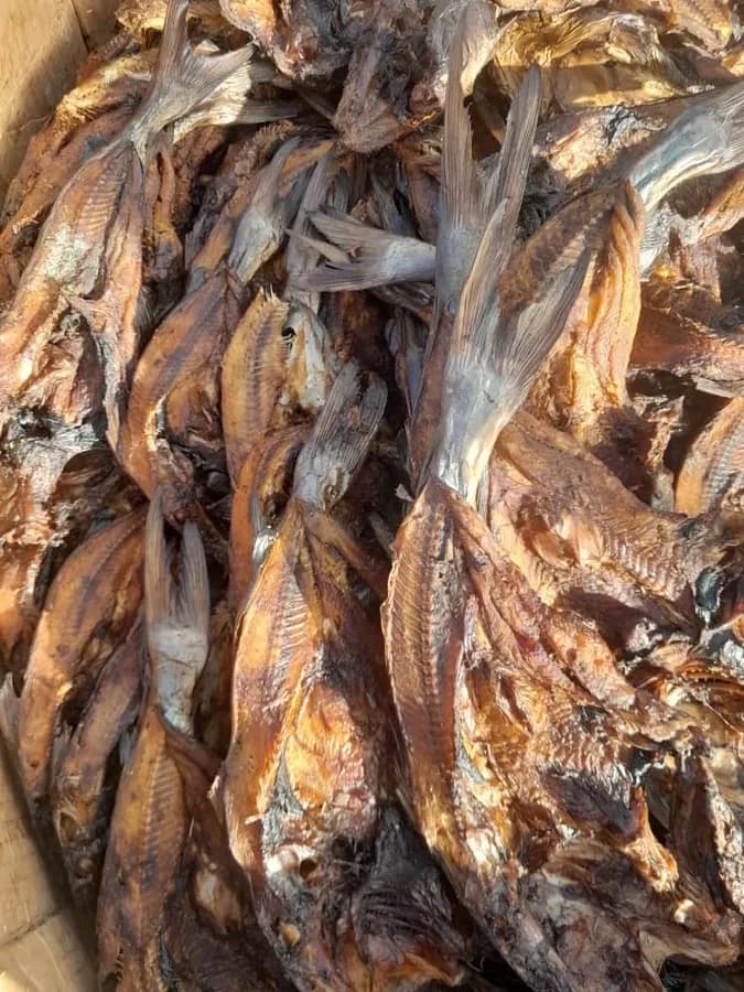 Poisson fumé et séché