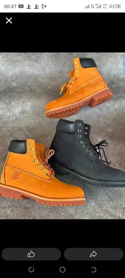 Timberland toute taille 