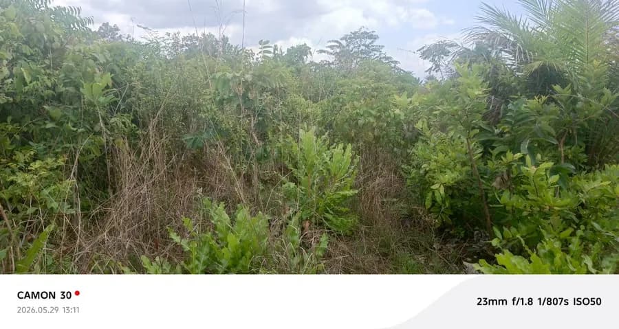 TERRAIN / PARCELLE 500M²