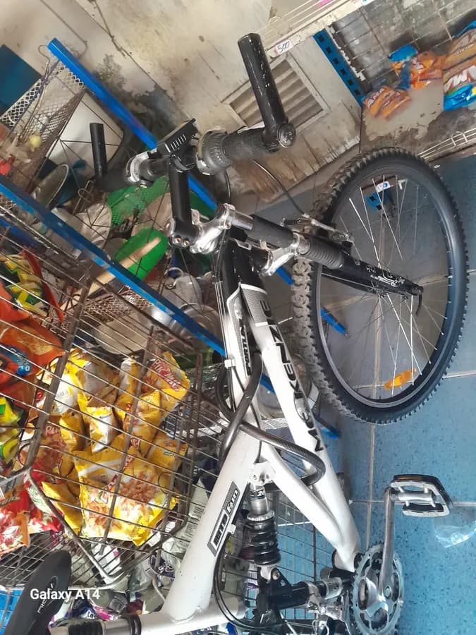 Bicicleta 